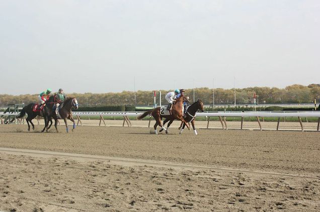 Aqueduct on opening day